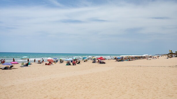 Une plage bordée de rangées de chaises longues et de parasols, un ciel dégagé et l’océan en toile de fond.