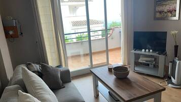 TV, DVD player, ping pong, stereo