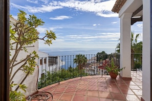 Un balcon avec vue sur la mer, une plante en pot et un sol carrelé.
