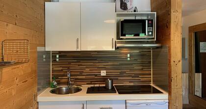 Gemütliche 2-Zimmer-Wohnung für 5 Personen, 24m², am Fuß der Pisten, Huez