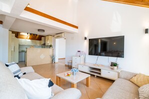 TV, Netflix, streaming services