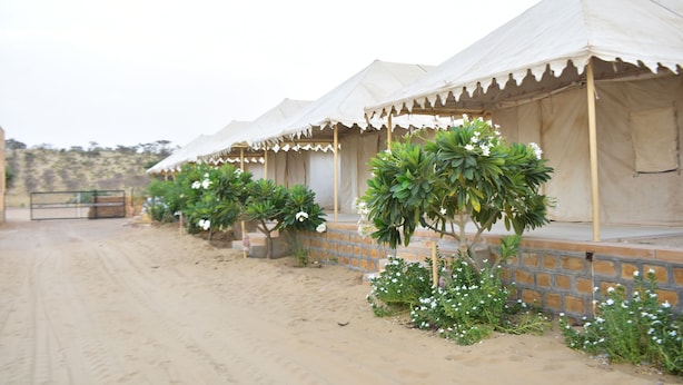 Exterior - Sam Desert Camp (Jaisalmer)