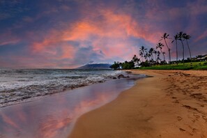 A beach with palm trees and a mountain in the background.