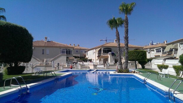 A swimming pool with a clear blue water, surrounded by a well-maintained lawn and palm trees.