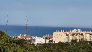 A coastal building with multiple balconies, surrounded by greenery and overlooking the sea.
