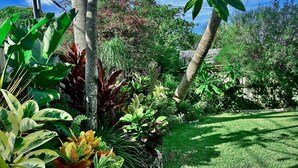 Un rigoglioso giardino con diverse piante tropicali e un prato curato.