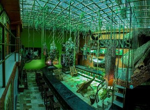 Baari (majoituspaikassa)