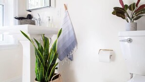 Um banheiro com pia branca, uma planta em vaso, uma toalha pendurada em um porta-toalhas e um vaso sanitário.