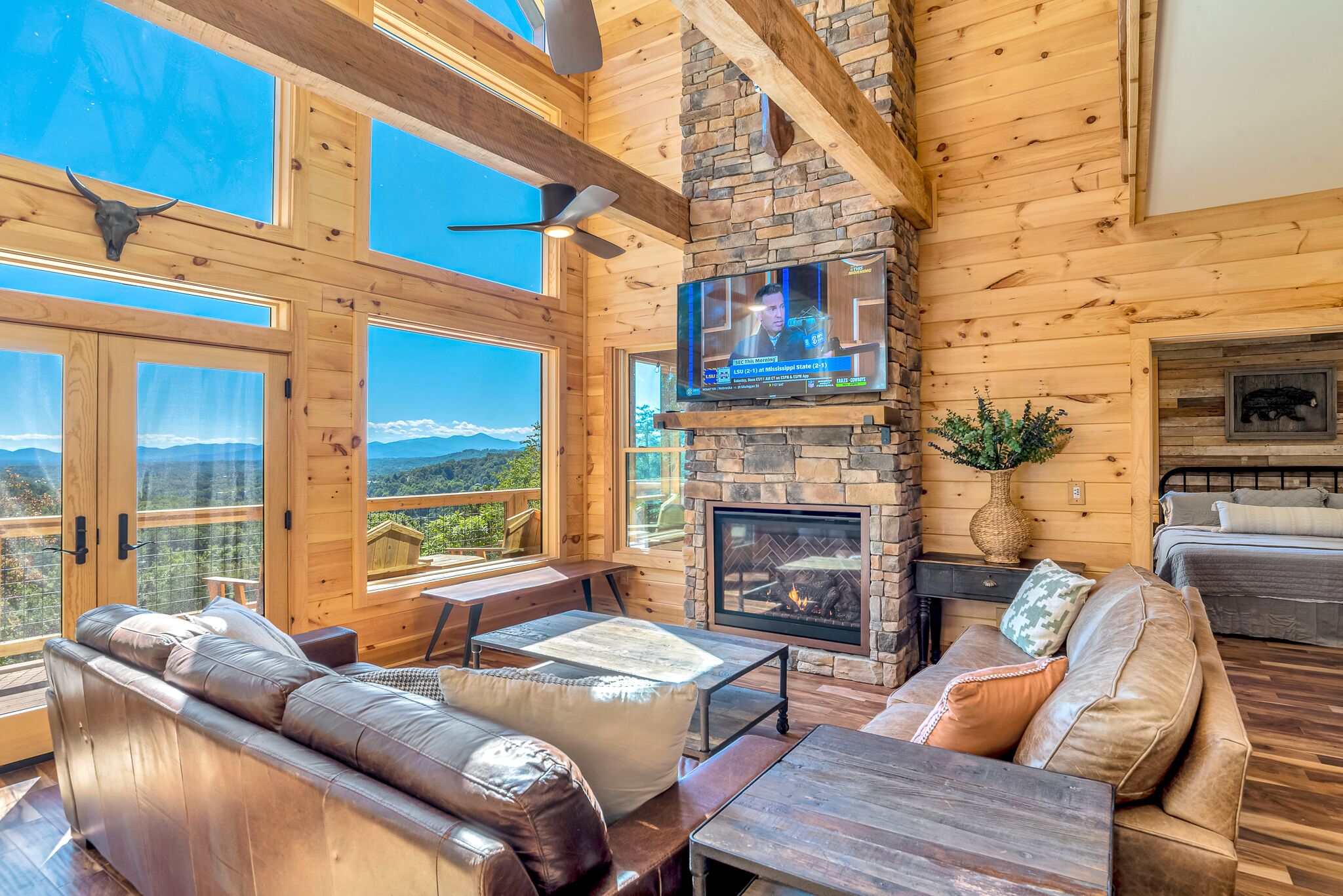 Älytelevisio, takka, videopelejä, kirjoja