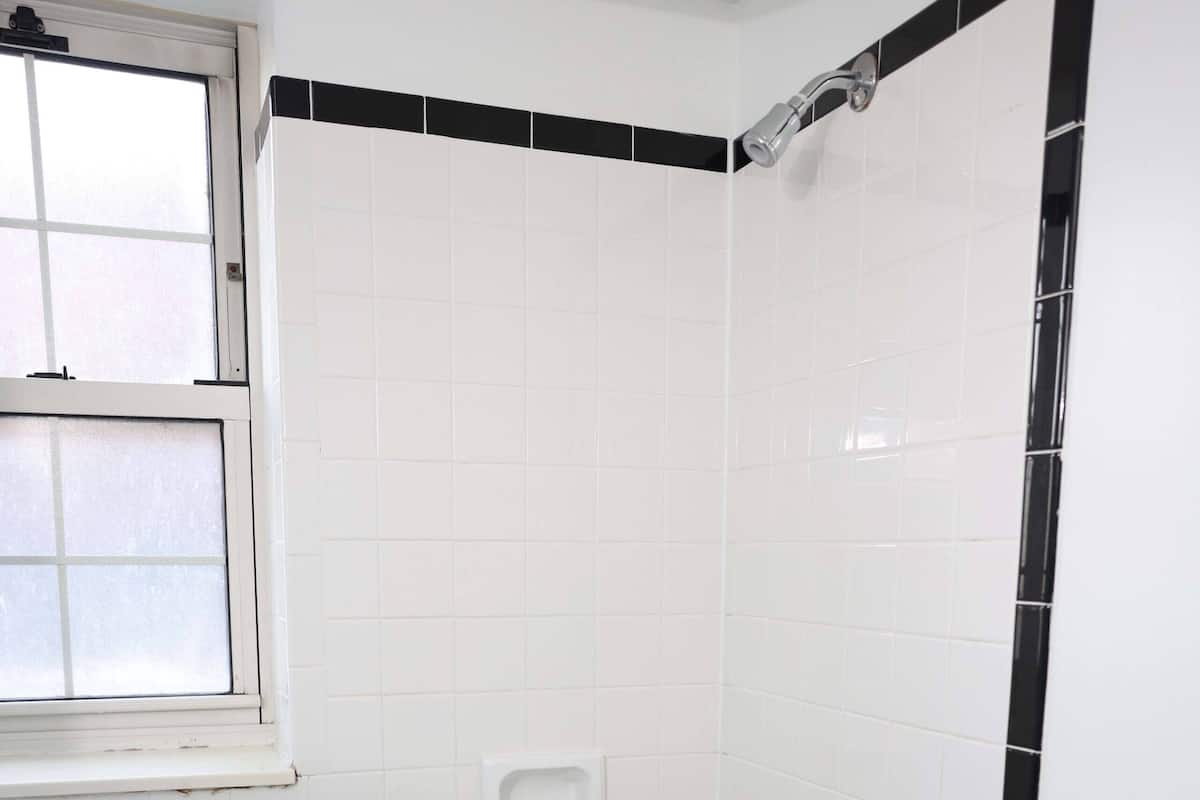 Hair dryer, soap, shampoo