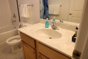 Bathroom - University Retreat With Plenty of Restaurants Nearby (St. Louis)