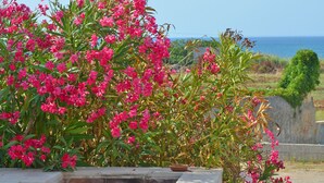 A stone planter with pink flowers and a view of the sea.