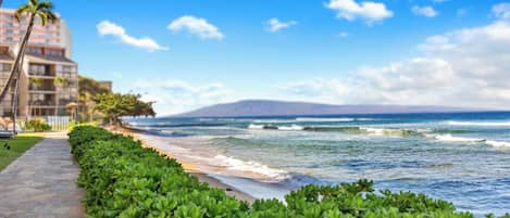 A coastal hotel with a paved walkway, lush greenery, and ocean views.