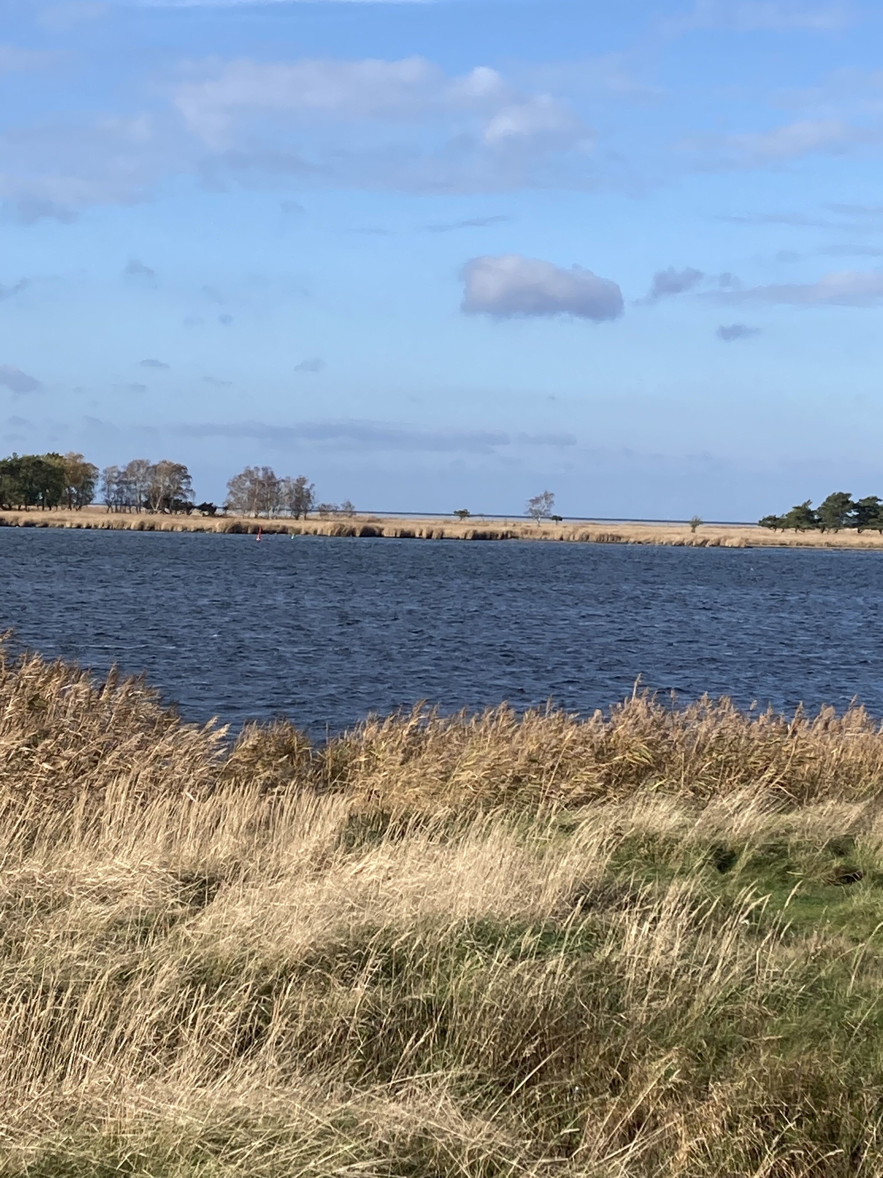 Un lac paisible, bordé de rives verdoyantes et avec des arbres en arrière-plan.