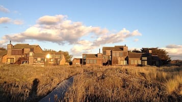 A row of modern houses with large windows and a pathway leading through a grassy field.