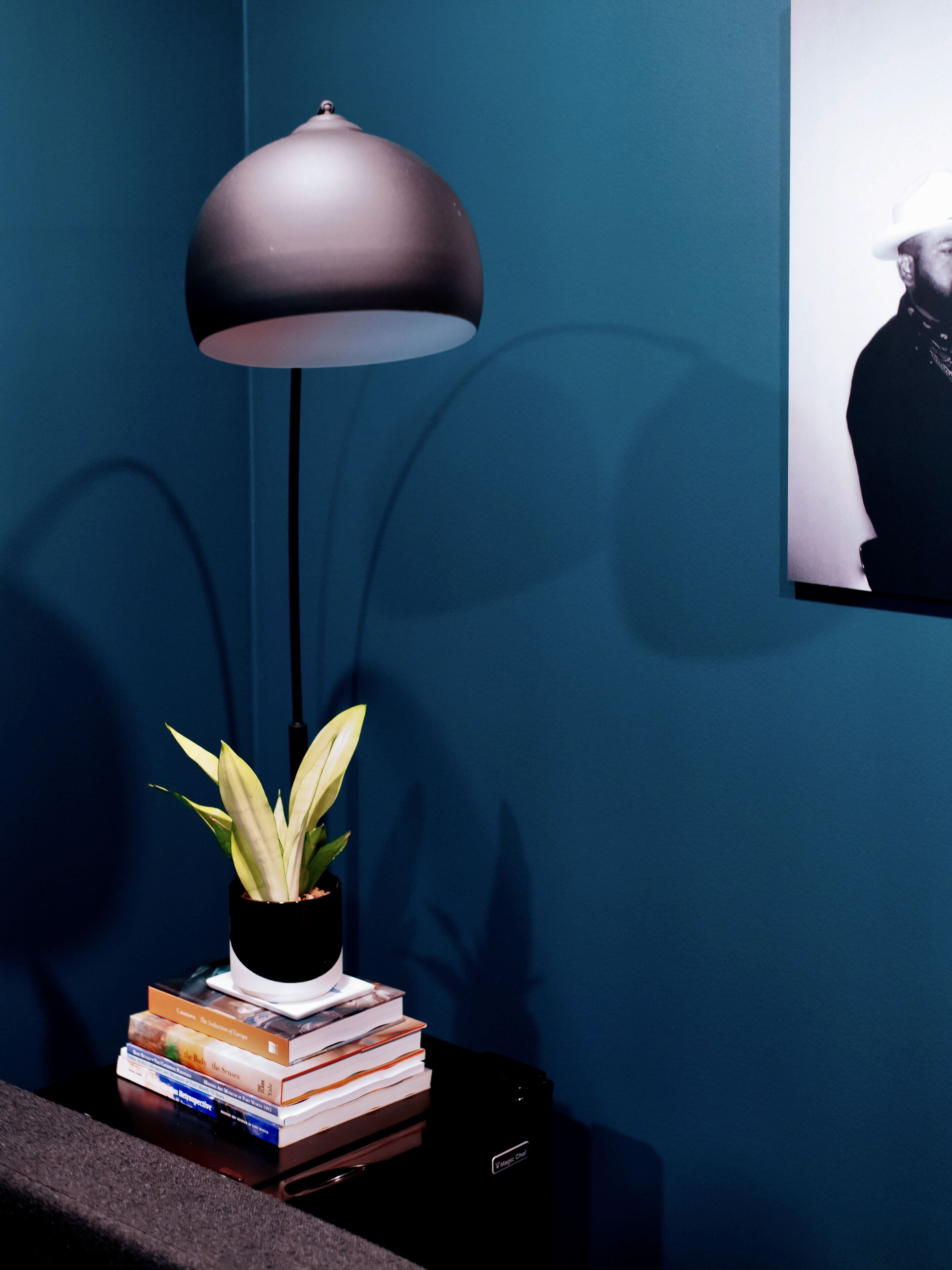 exclusive room | living room | 42-inch smart tv with digital channels, tv, streaming services