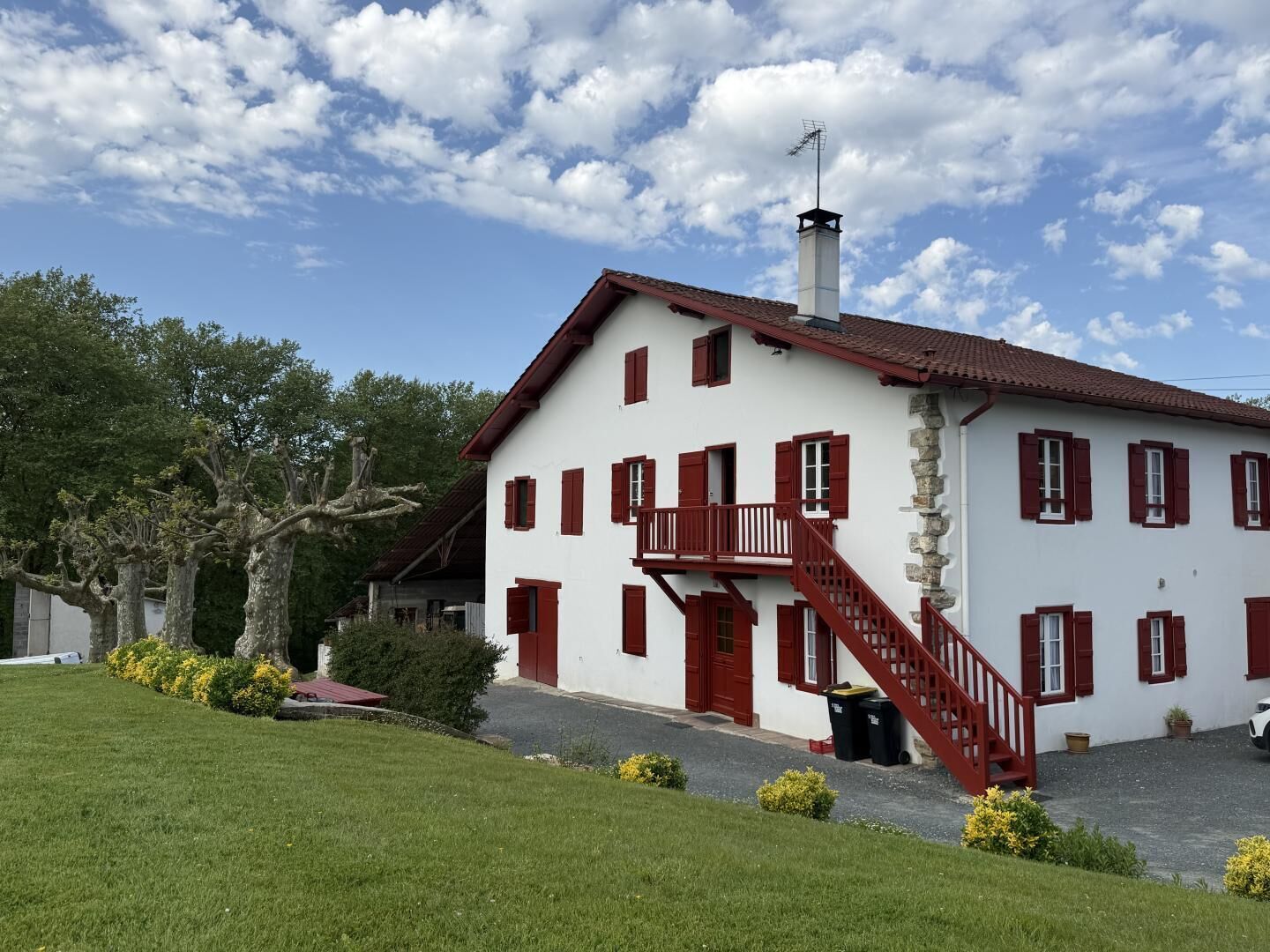 Eksteriør