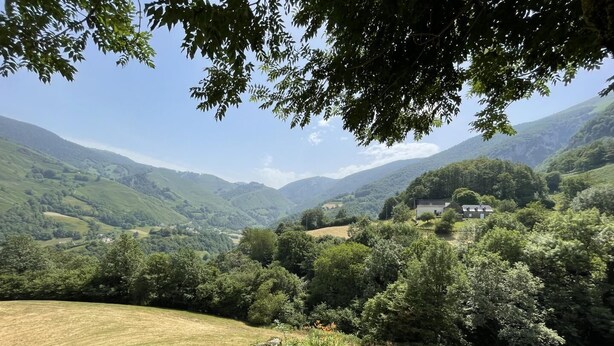 Ländliche Landschaft mit sanften Hügeln, einer Steinmauer und einem von Bäumen umgebenen Gebäude.