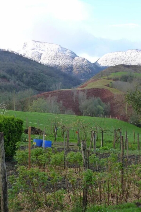 Área da propriedade