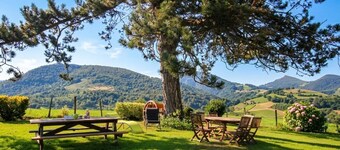 CHEZ ESCARAIN - ARETTE