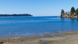 A coastal scene with a clear sky, calm water, and a distant shoreline with trees and buildings.