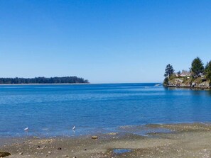Beach nearby - Pacific Oasis ★ Ocean ★ Studio ★ Kitchenette (Nanoose Bay)