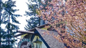 A building with a sign reading 'ROCKING HORSE PUB' and a horse logo.