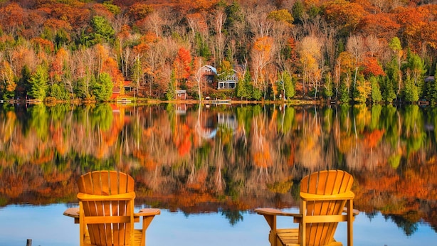 A wooden dock with two Adirondack chairs facing a calm lake, surrounded by autumn-colored trees and a house in the background. - Coby’s Cove - Four Season Cottage Huntsville Muskoka Waterfront  (Emsdale)