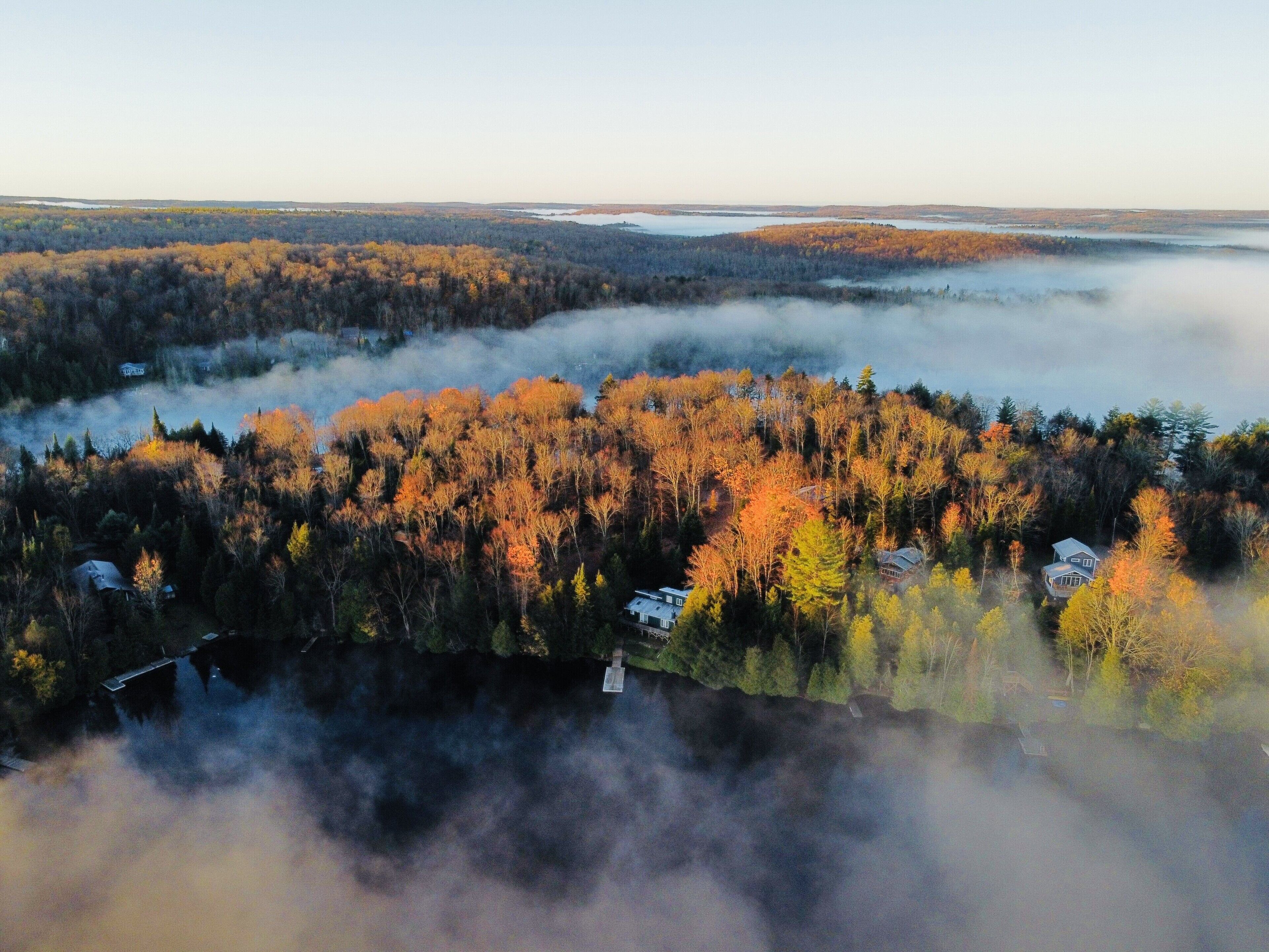 Ein bewaldetes Gebiet mit Häusern, die zwischen den Bäumen eingebettet liegen, umgeben von Nebel.