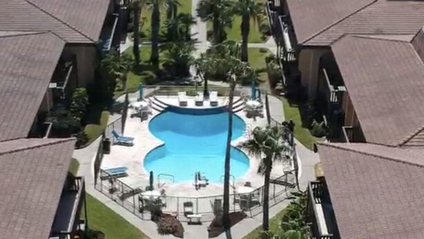 Ett symmetriskt poolområde med en central pool, omgivet av solstolar och palmer.