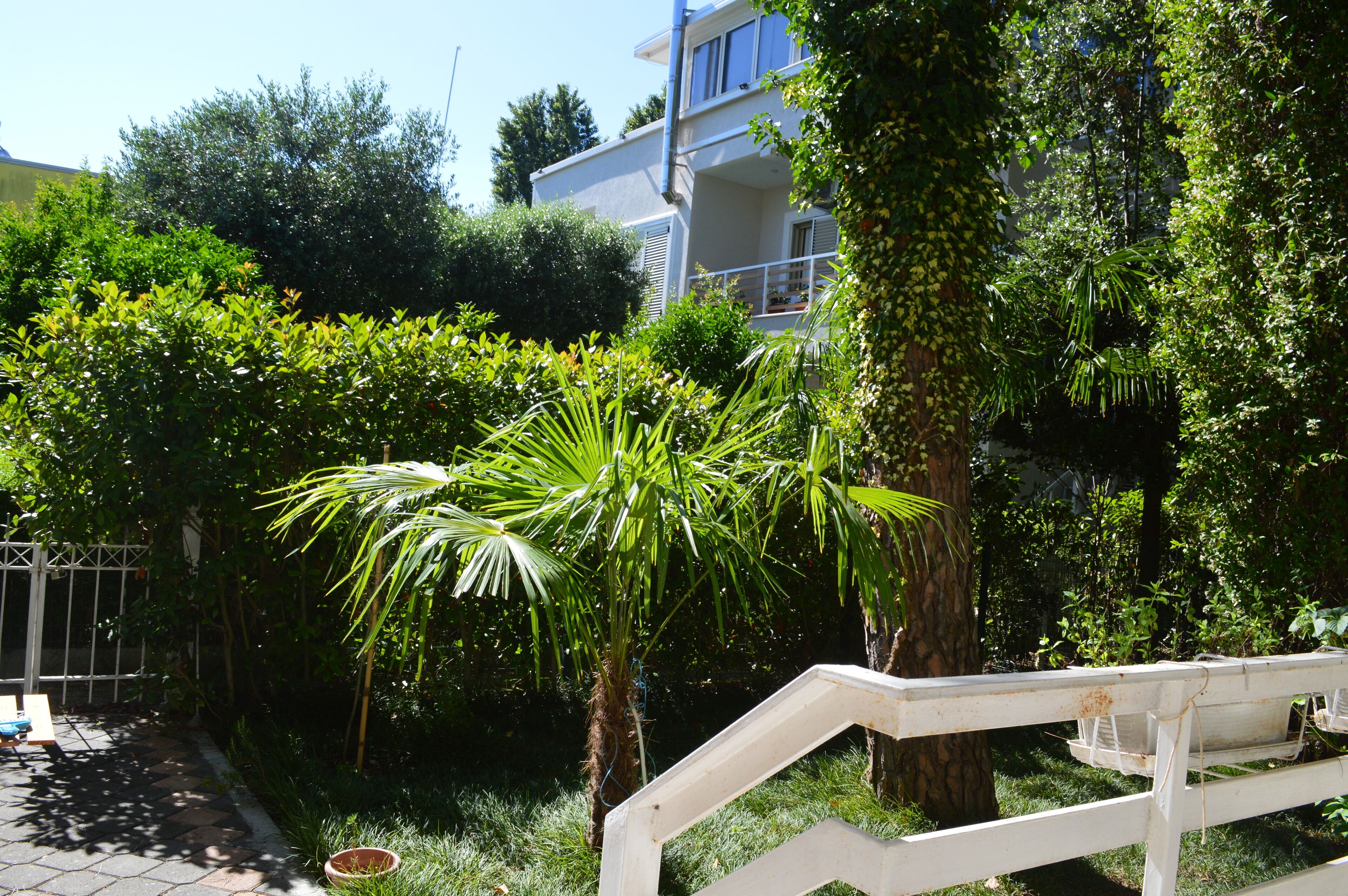 Overnattingsstedets uteområder