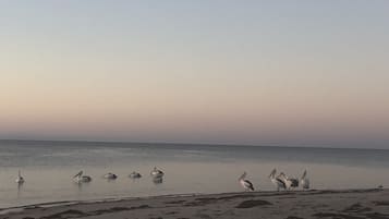 Beach nearby