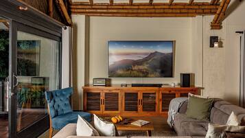 Smart TV, fireplace, Netflix, streaming services