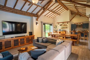 Smart TV, fireplace, Netflix, streaming services