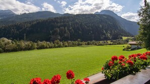 Une vue d’un champ verdoyant, avec des montagnes en arrière-plan et des fleurs rouges au premier plan.