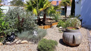 Un jardín con diversas plantas, una piedra decorativa y una maceta grande.