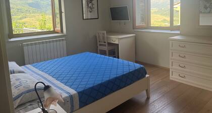 Green deluxe apartament