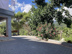 Área da propriedade