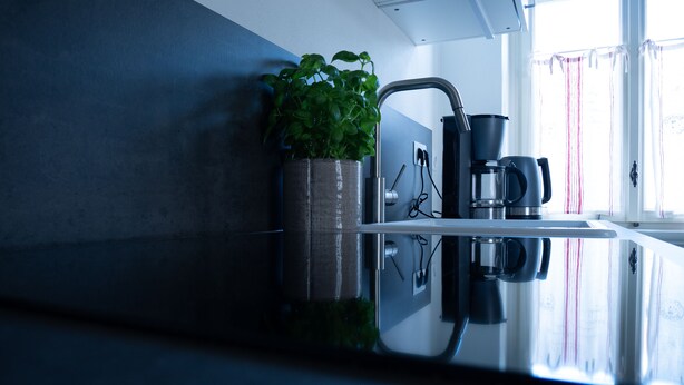 A modern kitchen with a stainless steel sink, a coffee maker, and a potted plant. - Holiday apartment Käte (ferienwohnungen1886) (Borsdorf)