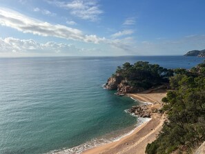 Un paysage côtier comprenant une plage, des affleurements rocheux et une végétation luxuriante.
