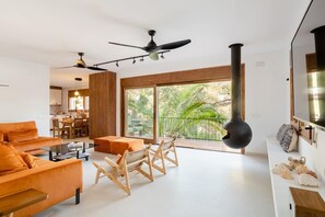 TV connectée, cheminée, livres, chaîne hi-fi