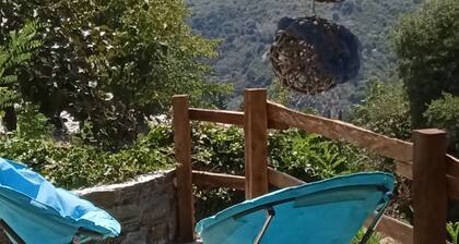 Î ÎÎÎÎÎĄÎÎ΀ÎÎÎ ÎÎÎÎΥΧÎÎ΀ÎÎΠΣ΀ÎÎŁ ÎÎÎÎÎÎŁ