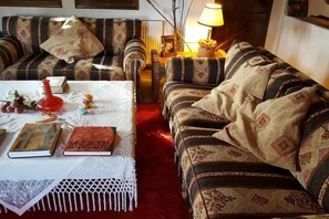 Een smart-tv, een open haard, boeken en een stereo