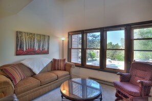 Smart TV, fireplace - Skyview Town Retreat (#21) | Near Town, FLC, Trails & Golf - Pool & Hot Tub (Durango)