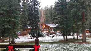 Une cabane entourée de grands arbres à feuilles persistantes, avec un sol recouvert de neige et une couronne de Noël accrochée à une clôture en bois.