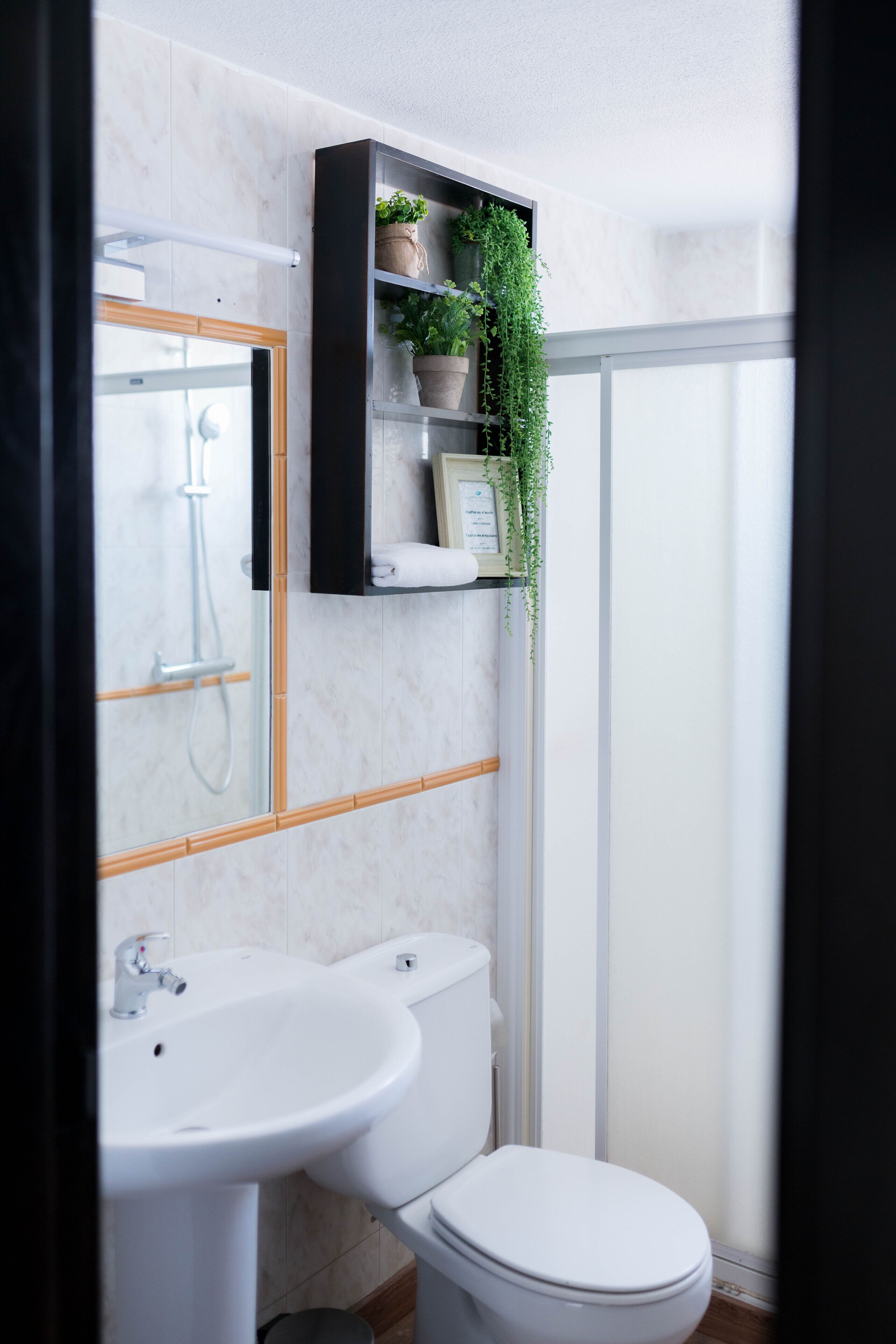 Ein Badezimmer mit Waschbecken, Toilette und Dusche. Ein Regal mit Pflanzen und einem gerahmten Bild sind ebenfalls vorhanden.