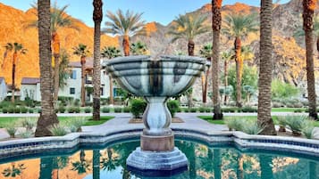 A heated pool, a lap pool, pool loungers
