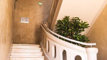 A curved staircase with marble steps and a white balustrade, leading to a landing with a green plant.