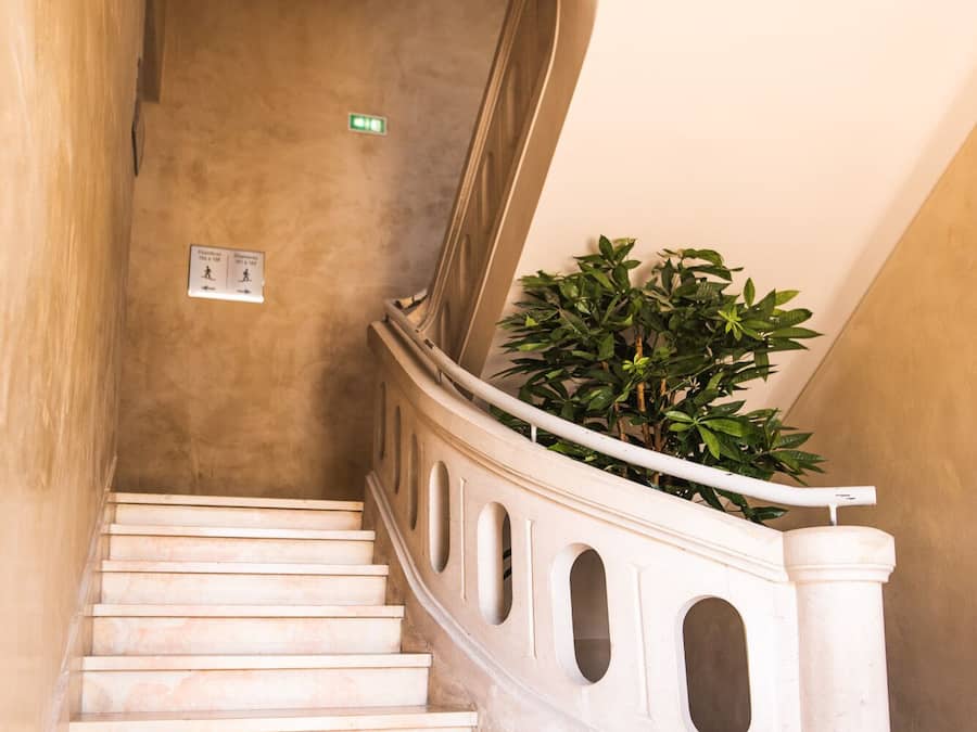 A curved staircase with marble steps and a white balustrade, leading to a landing with a green plant.