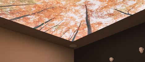 Una habitación con dos camas, un espejo, un estante con botellas y un techo con vista a un árbol.